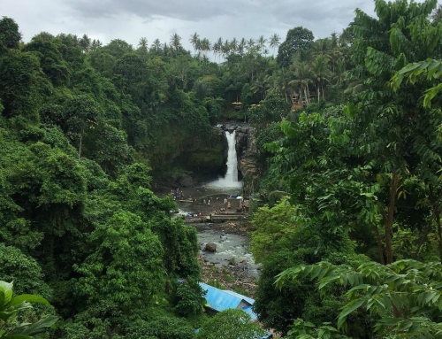 Amazing Tegenungan Waterfall, Bali Paradise